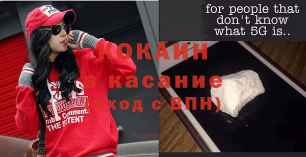 мет Ельня