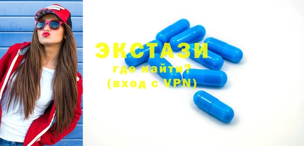 мет Ельня