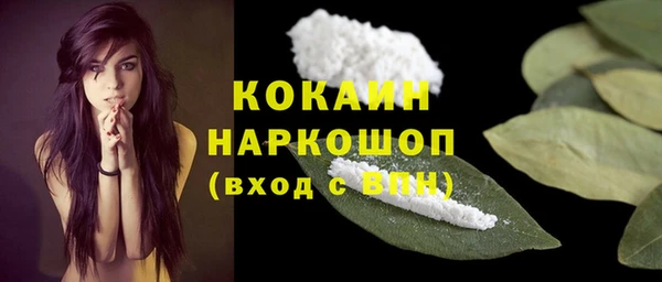 мет Ельня