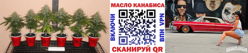 ТГК концентрат где продают наркотики Свободный