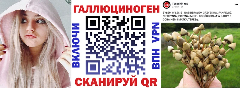 Галлюциногенные грибы прущие грибы  Свободный 