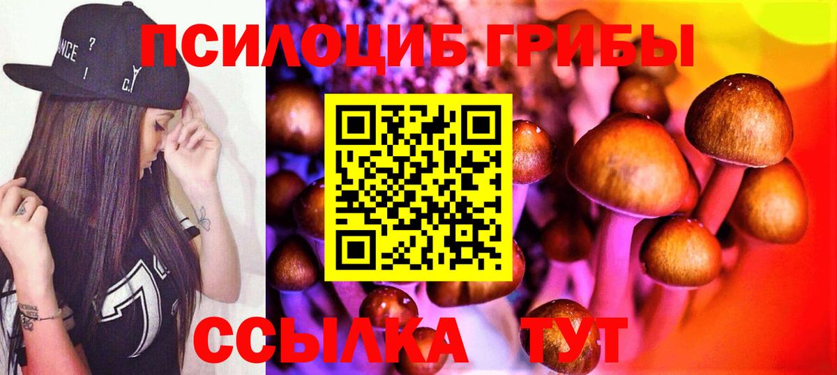 Свободный  Галлюциногенные грибы Psilocybe  Вход с VPN 