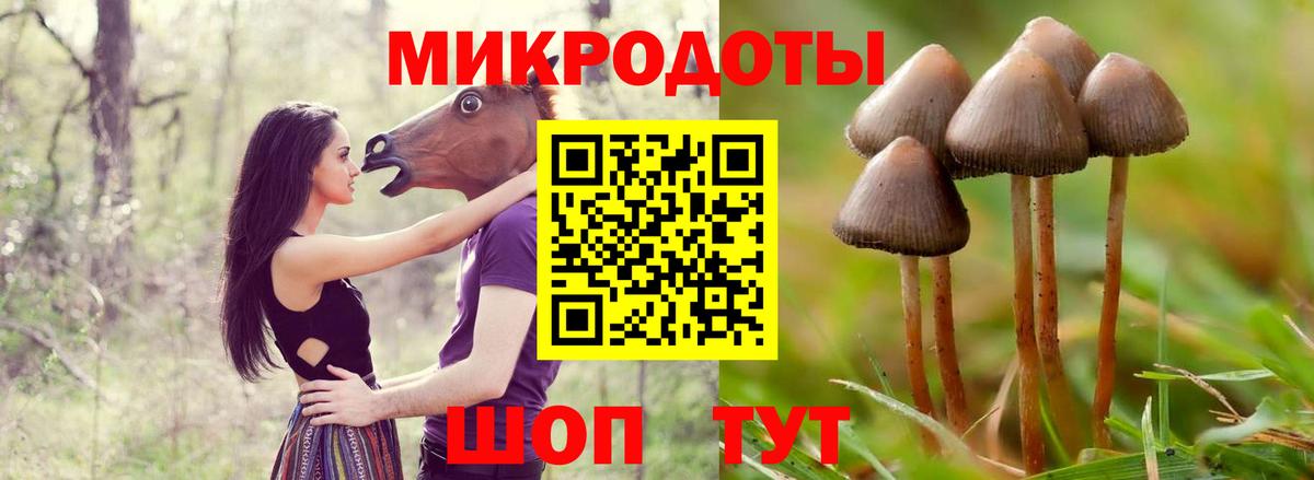 Галлюциногенные грибы Magic Shrooms Свободный