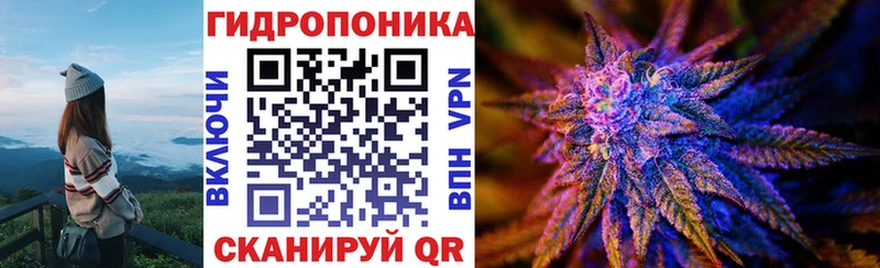 Шишки марихуана планчик  Свободный 