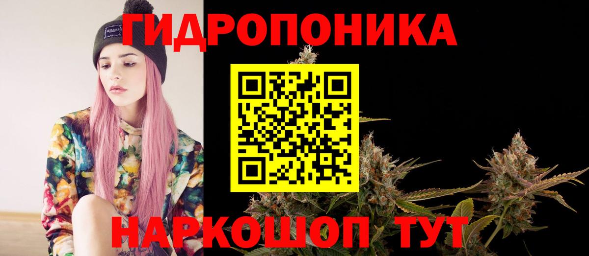 Каннабис индика Свободный